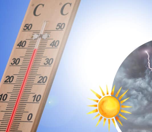 Monatsbilanz: Vom kühlen Start in einen hochsommerlichen Juni