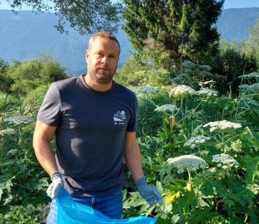 Neuer Sammelcontainer für invasive Neophyten: Naturschutz geht uns alle an