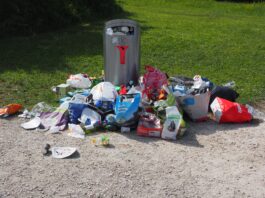 8.900 Tonnen Müll von Straßen entfernt – achtlos weggeworfener Abfall bleibt eine Gefahr