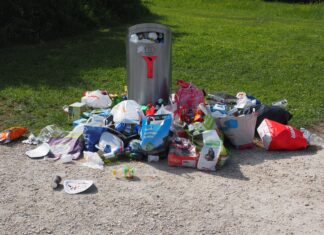 8.900 Tonnen Müll von Straßen entfernt – achtlos weggeworfener Abfall bleibt eine Gefahr