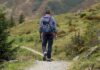 Ab in den Urlaub: Österreich bleibt Top-Reiseziel im Sommer