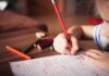 Mit AK-Lernchancen zu besseren Noten: Günstige Nachhilfe für Schüler:innen und Lehrlinge