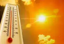 Klimadialog Kärnten: Breite Allianz gegen Extremwetter und Versorgungskrisen