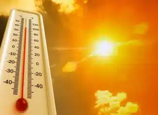 Klimadialog Kärnten: Breite Allianz gegen Extremwetter und Versorgungskrisen