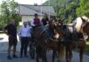 Pferde, Spiel und Spaß beim Familiennachmittag des Pferdezuchtvereins K18 Lesachtal