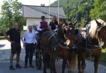 Pferde, Spiel und Spaß beim Familiennachmittag des Pferdezuchtvereins K18 Lesachtal