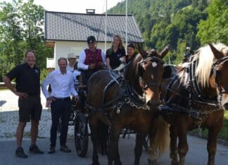 Pferde, Spiel und Spaß beim Familiennachmittag des Pferdezuchtvereins K18 Lesachtal