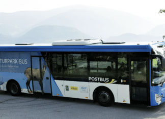 Zum Dobratsch-Kirchtag gemütlich und sicher mit dem Naturpark Bus