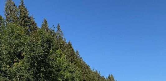 Mit Startnummer 80 quer durch Europa für Kinderträume