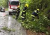 Unwetter sorgt für Feuerwehreinsatz – Baum stürzt auf Seltschacher Straße