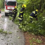Unwetter sorgt für Feuerwehreinsatz – Baum stürzt auf Seltschacher Straße