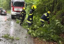 Unwetter sorgt für Feuerwehreinsatz – Baum stürzt auf Seltschacher Straße