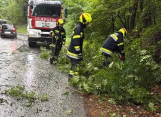 Unwetter sorgt für Feuerwehreinsatz – Baum stürzt auf Seltschacher Straße