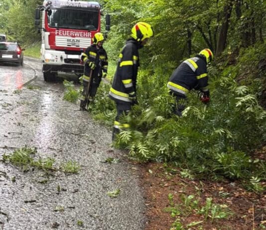 Unwetter sorgt für Feuerwehreinsatz – Baum stürzt auf Seltschacher Straße