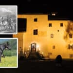 Tollkühne Reiter, gewiefte Händler und erfolgreiche Züchter – Pferdezuchtgeschichte im GailtalMuseum!