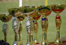 Zweimal Gold und einmal Silber für Kärntens Wassersport