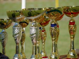 Zweimal Gold und einmal Silber für Kärntens Wassersport