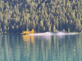 Waldbrand in Italien: Wasser aus Kärnten, Löschflugzeuge aus Slowenien