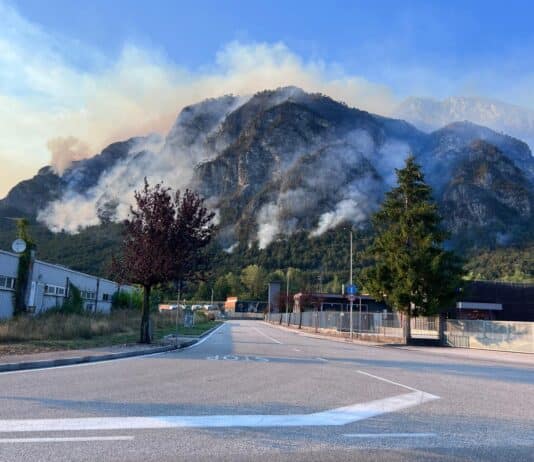 Waldbrände bei Tolmezzo wüten weiter – Rauch bis ins Gailtal