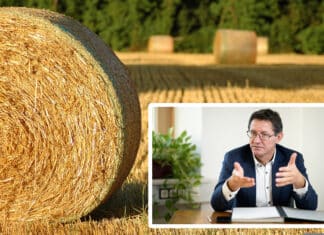 LK Kärnten fordert Dürre-Notfallmechanismus von EU
