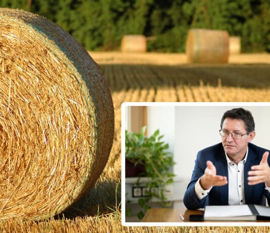 LK Kärnten fordert Dürre-Notfallmechanismus von EU