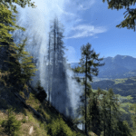Neue Details zum Waldbrand bei Laas: Glutnest entdeckt – Feuerwehr erneut im Einsatz