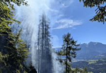 Neue Details zum Waldbrand bei Laas: Glutnest entdeckt – Feuerwehr erneut im Einsatz