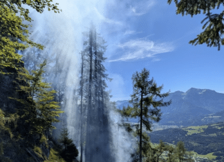Neue Details zum Waldbrand bei Laas: Glutnest entdeckt – Feuerwehr erneut im Einsatz