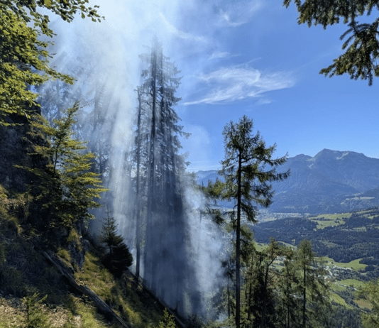 Neue Details zum Waldbrand bei Laas: Glutnest entdeckt – Feuerwehr erneut im Einsatz