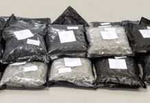 11,75 Kilo Suchtgift im Kofferraum: Polizei stoppt Pkw auf der A11