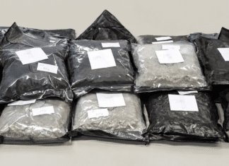 11,75 Kilo Suchtgift im Kofferraum: Polizei stoppt Pkw auf der A11