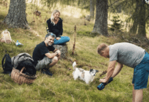 Bleiberger Duo bringt den Fliegenpilz ins Fernsehen