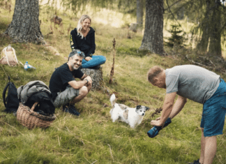 Bleiberger Duo bringt den Fliegenpilz ins Fernsehen