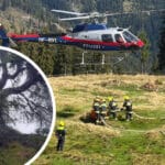Waldbrand auf der Reisacher Sausengalm – Acht Stunden im Einsatz gegen die Flammen