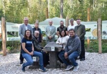 Wald der Zukunft: Schauwald in Nötsch zeigt Baumvielfalt