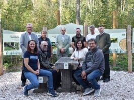 Wald der Zukunft: Schauwald in Nötsch zeigt Baumvielfalt