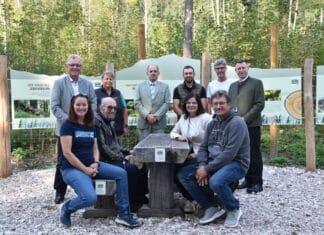 Wald der Zukunft: Schauwald in Nötsch zeigt Baumvielfalt