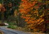 Vorsicht – jeder vierte Wanderunfall passiert jetzt im Herbst!