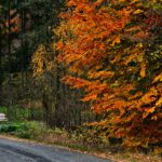 Vorsicht – jeder vierte Wanderunfall passiert jetzt im Herbst!