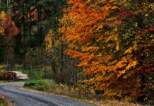 Vorsicht – jeder vierte Wanderunfall passiert jetzt im Herbst!