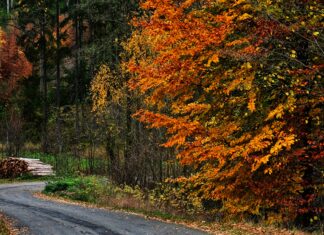 Vorsicht – jeder vierte Wanderunfall passiert jetzt im Herbst!