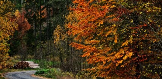 Vorsicht – jeder vierte Wanderunfall passiert jetzt im Herbst!