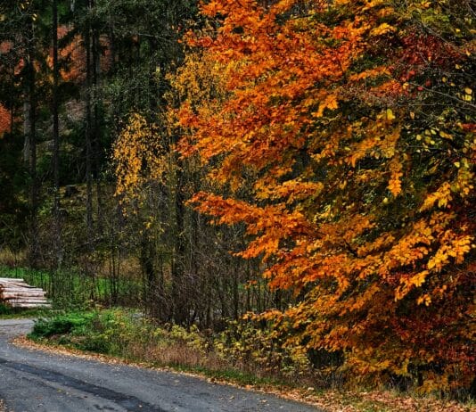 Vorsicht – jeder vierte Wanderunfall passiert jetzt im Herbst!