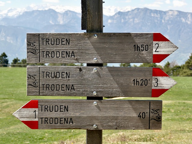 14184437-signpost-5090280_640 (1)