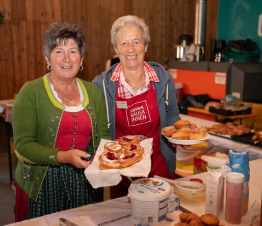 Alles Apfel – beim 23. Kirchbacher Apfelfest in Treßdorf