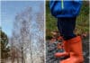 Noch einmal mildes Herbstwetter, dann wird es nass