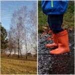 Noch einmal mildes Herbstwetter, dann wird es nass