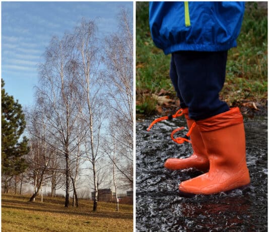 Noch einmal mildes Herbstwetter, dann wird es nass